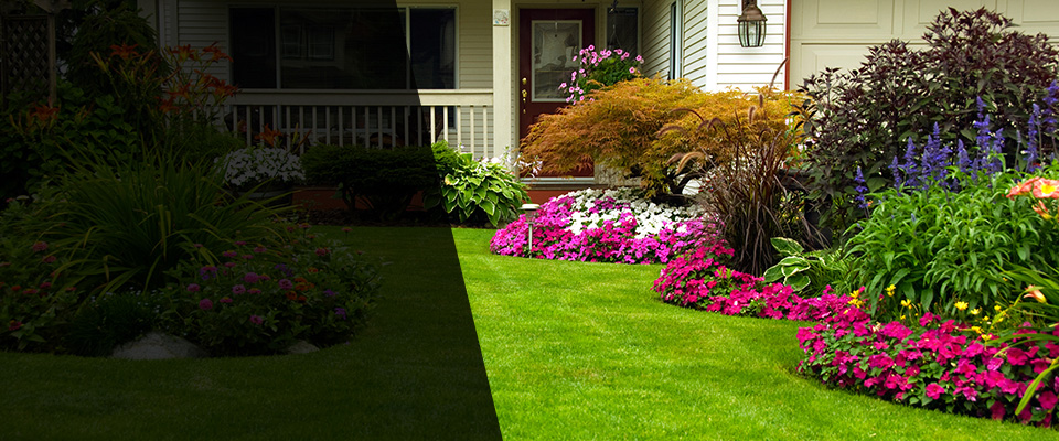 Westminster Landscapers