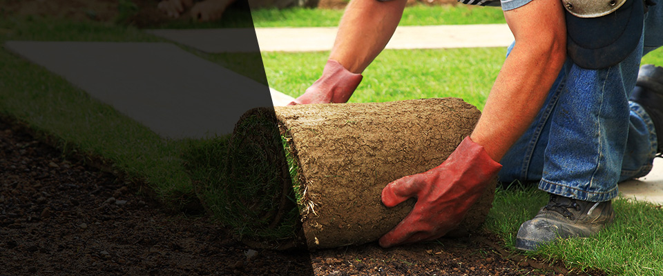 Westminster Landscapers